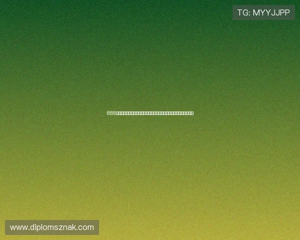 888娱乐报道世界杯各国球队备战情况,揭秘球队战术策略与明星球员表现